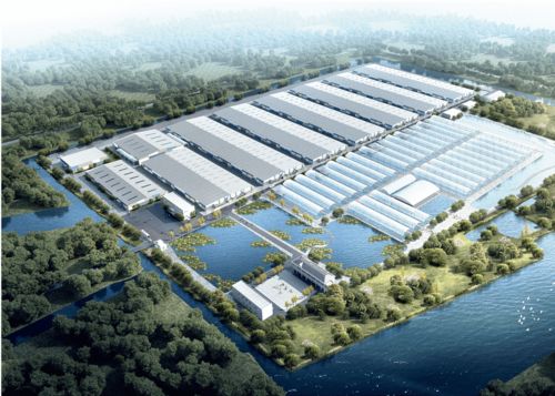 浙江千噸級南美白對蝦工廠化養殖場 融合兩大全球先進技術，引領產業新篇章