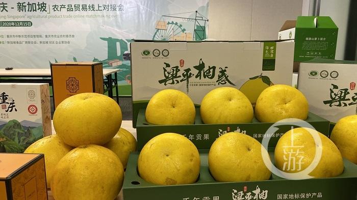 獅城點單，山城上菜 一位新加坡朋友與重慶客商的批發(fā)貿易之夜