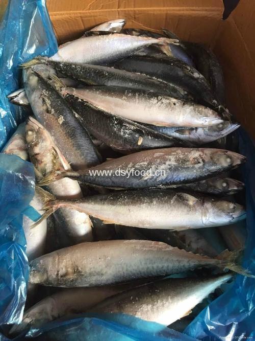福建貿易商在商品批發(fā)貿易中的角色與發(fā)展趨勢